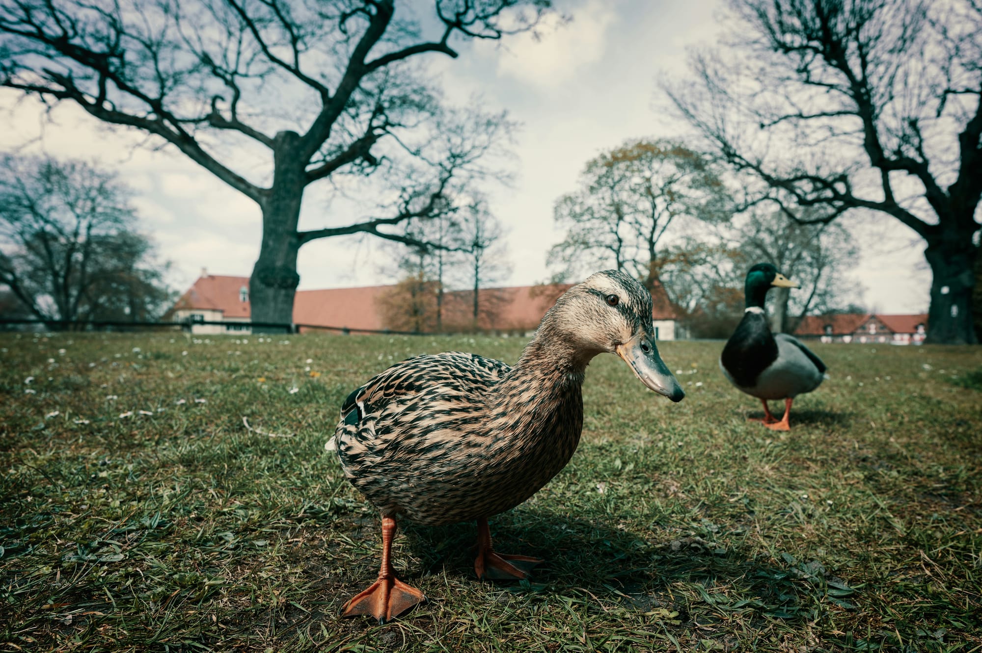 Holding Space for the Unknown: Curiosity as a Design Stance